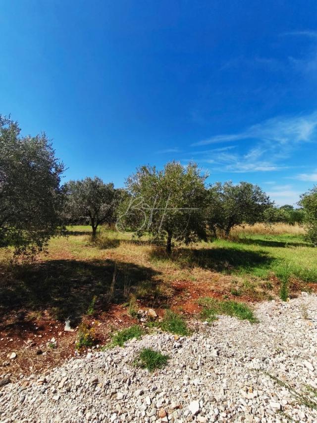 Exclusive - Grundstück Galižana, Vodnjan, 1.260m2