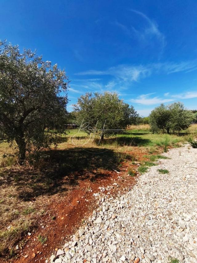 Exclusive - Grundstück Galižana, Vodnjan, 1.260m2