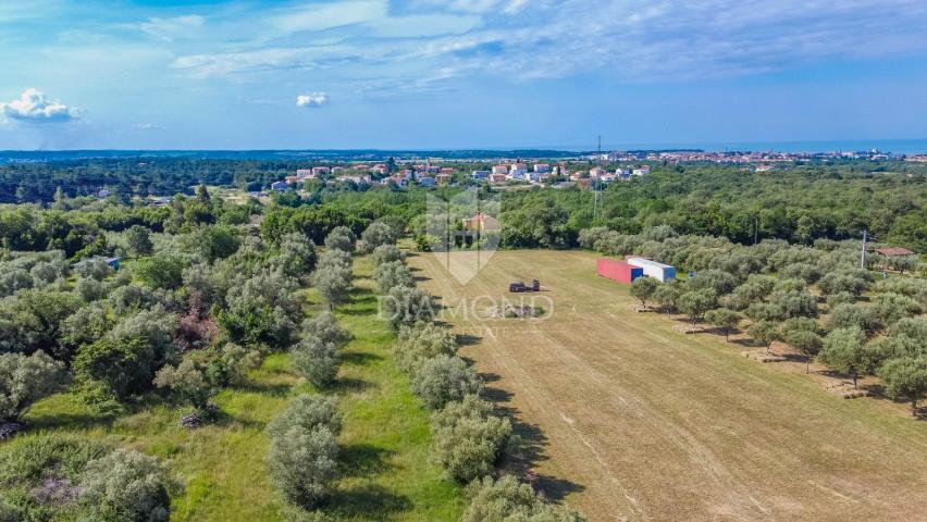 Umag, okolica, građevinsko zemljište sa započetom gradnjom!