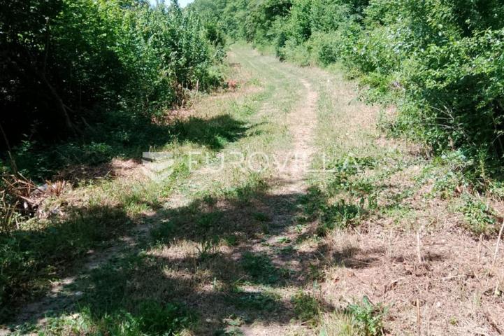 Barilovići, Perjasica, poljoprivredno zemljište 5240 m² na samoj rijeci Korani, mogućnost gradnje