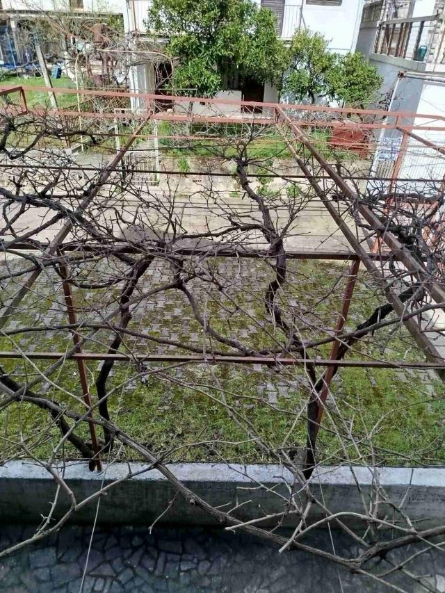 Izdavanje, kuća, 50m2, Lastva Grbaljska, Budva