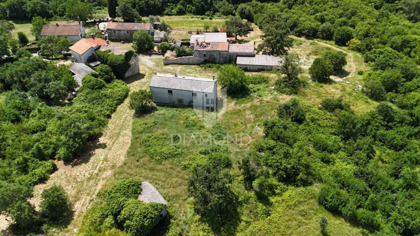 Istra, Barban, kamena kuća za renovaciju s velikom okućnicom