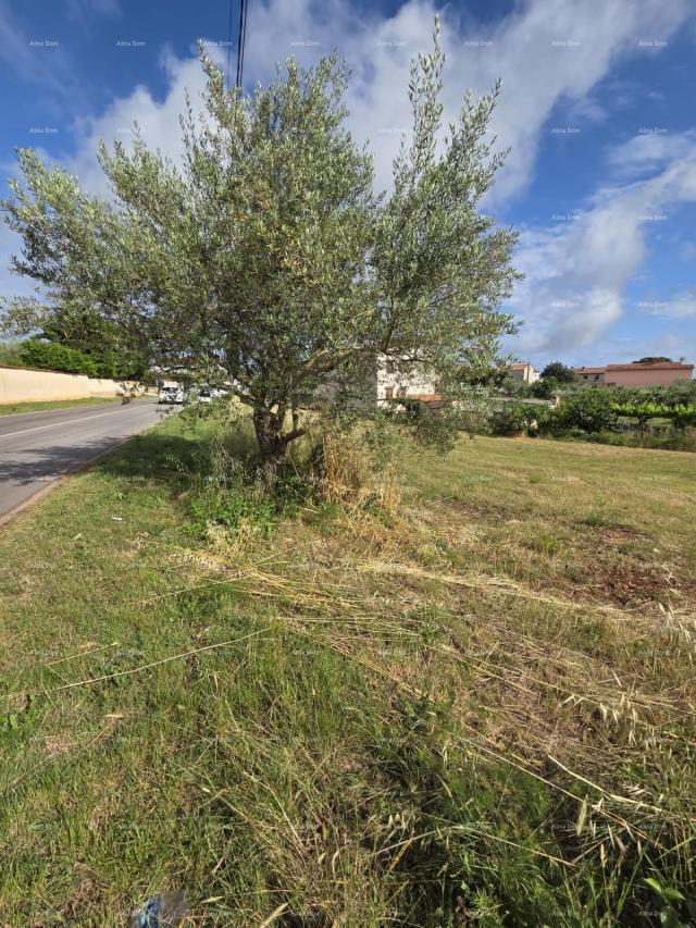 Građevinsko zemljište Građevinsko zemljište 1.412 m², Šegotići