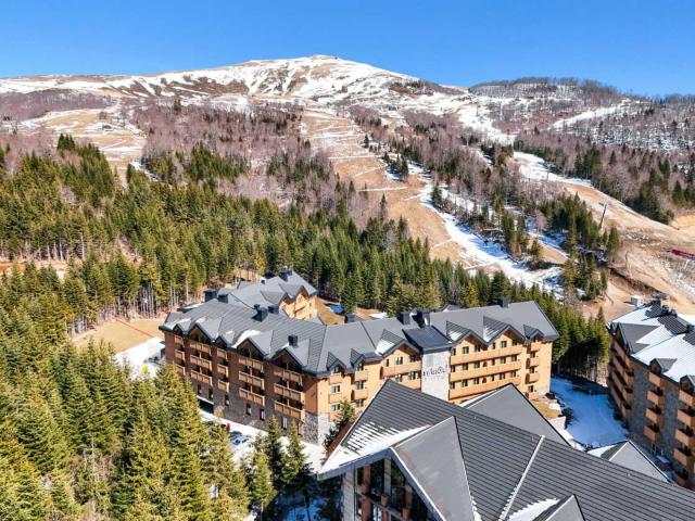 Swissotel Studio Apartment Kolasin