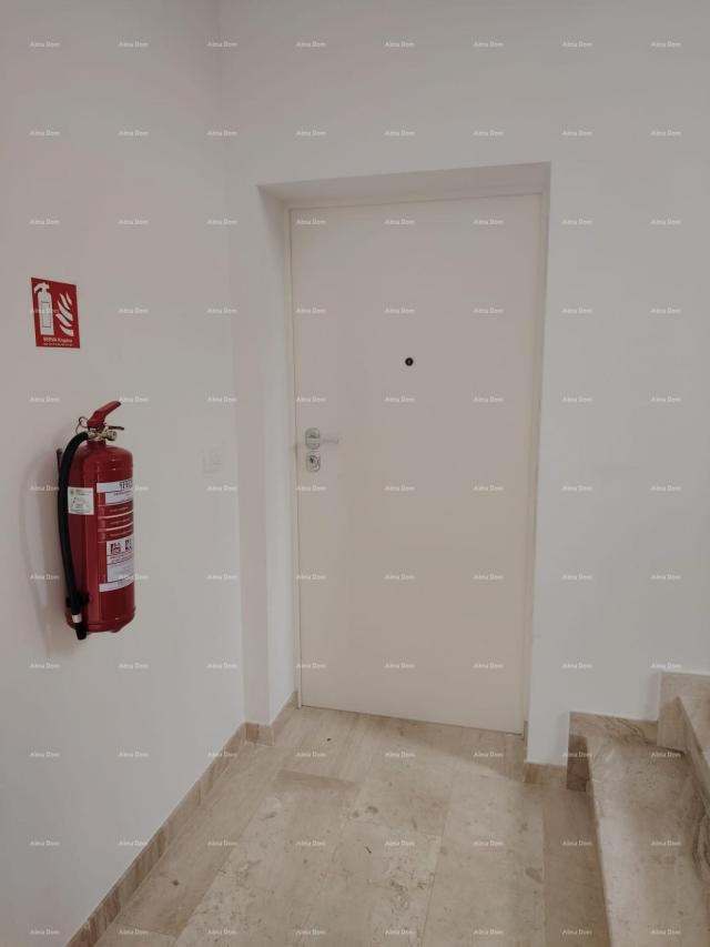 Stan Stan u novogradnji s vrtom i bazenom– Novigrad, 400 m od mora