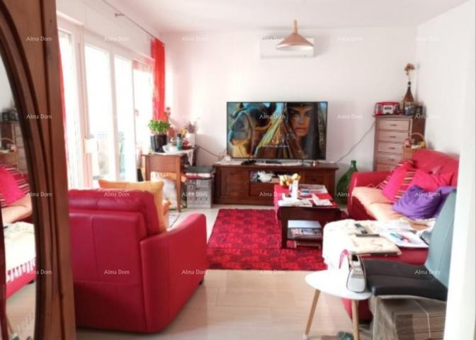 Stan TAR –STAN 75 m² S VRTOM