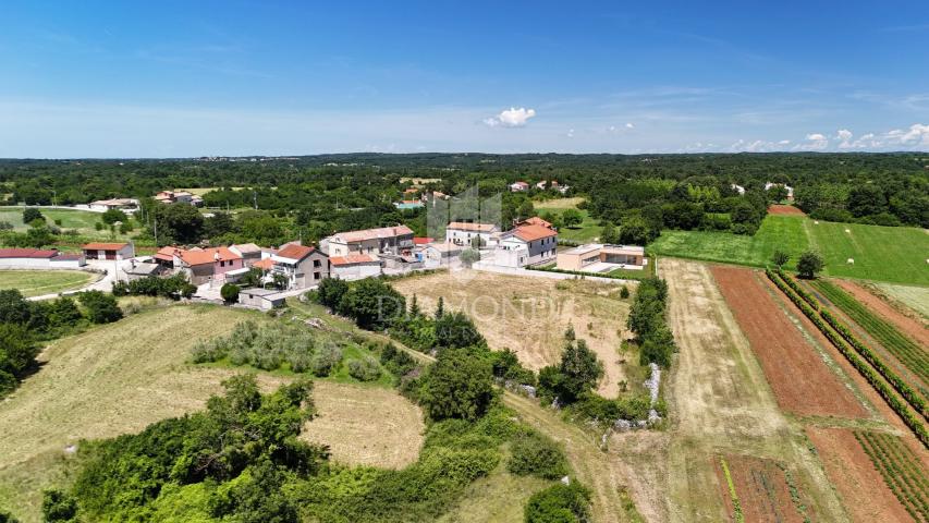 Žminj, okolica, građevinsko zemljište sa velikim potencijalom