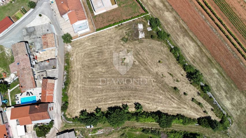 Žminj, okolica, građevinsko zemljište sa velikim potencijalom