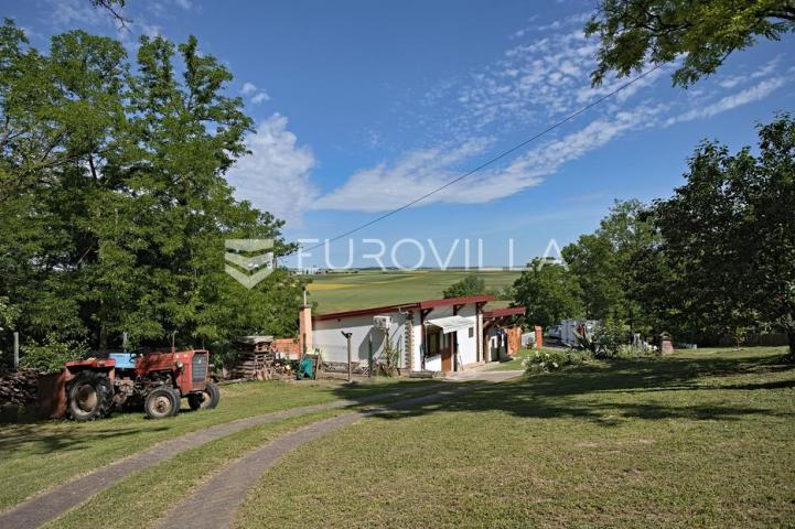 Baranja, Popovac, imanje s tri objekta, bazenom i 6ha zemlje proizvodnja