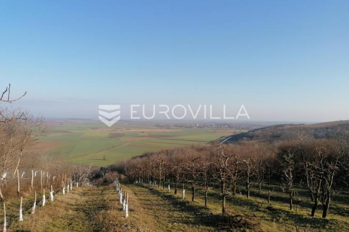 Baranja, Popovac, imanje s tri objekta, bazenom i 6ha zemlje proizvodnja