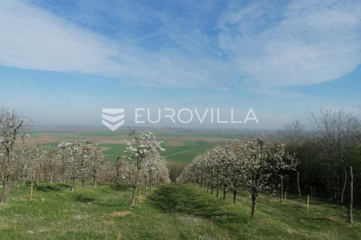 Baranja, Popovac, imanje s tri objekta, bazenom i 6ha zemlje proizvodnja