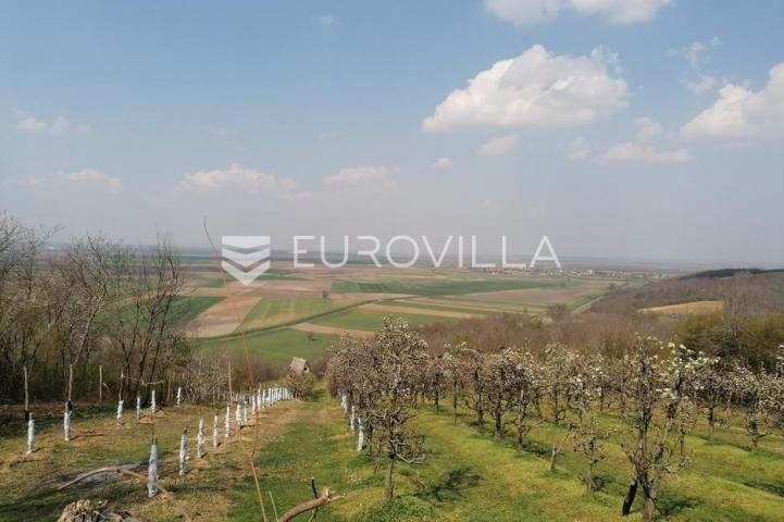 Baranja, Popovac, imanje s tri objekta, bazenom i 6ha zemlje proizvodnja