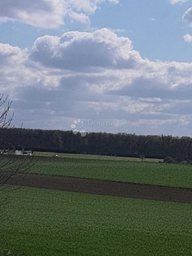 Useljiva kuća u Vukovaru koja donosi siguran prihod!