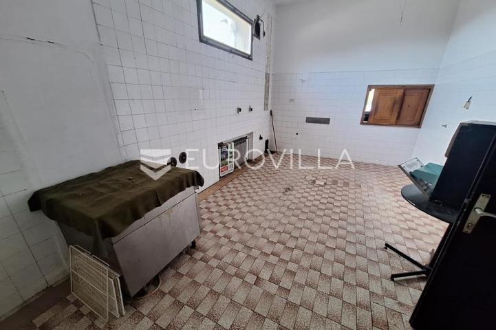 Karlovac, Borlin, kuća 720 m² s poslovnim prostorom, gospodarskom zgradom i nogometnim terenom