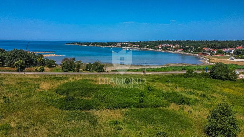 Novigrad, okolica, investicijsko zemljište 1 red do mora!