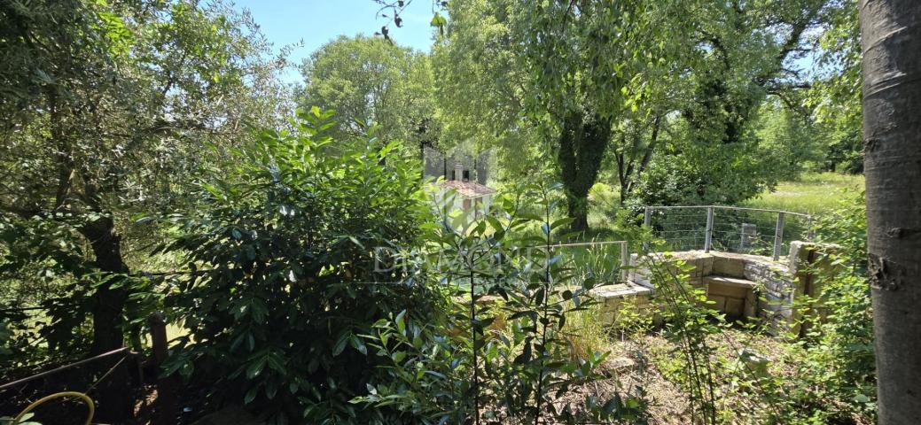 Poreč-Bereich, Haus mit großem Grundstück in ruhiger Lage