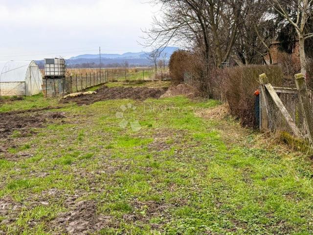 Kuća s brojnim gospodarskim objektima