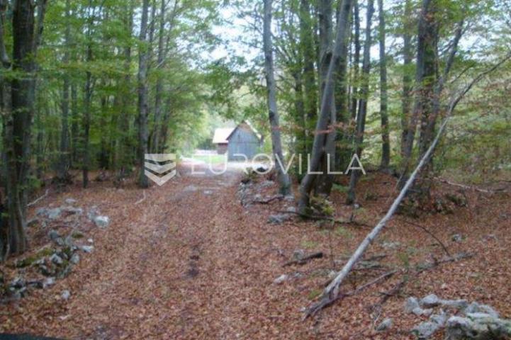 Fužine, Lič, samostojeća kuća na osami s okućnicom od 3394 m²