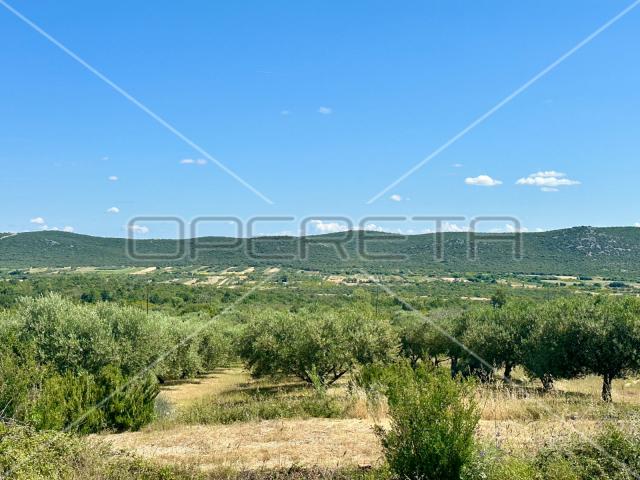 Poljoprivredno zemljište idealno za agroturizam, Dazlina, 45.000 m2
