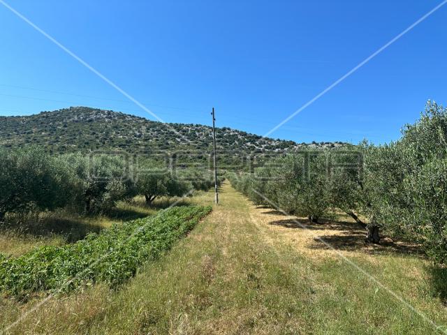 Poljoprivredno zemljište idealno za agroturizam, Dazlina, 45.000 m2
