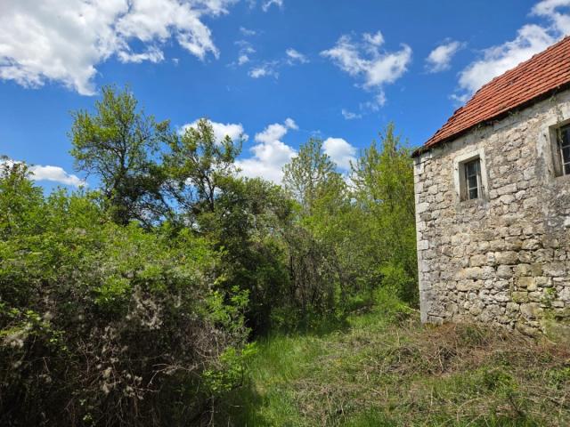 PRODAJA PORODIČNOG IMANJA 16 HEHTARA NIKŠIĆ