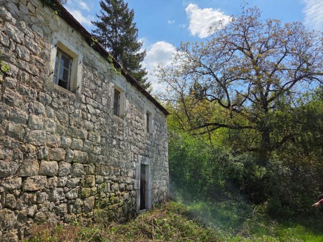 PRODAJA PORODIČNOG IMANJA 16 HEHTARA NIKŠIĆ
