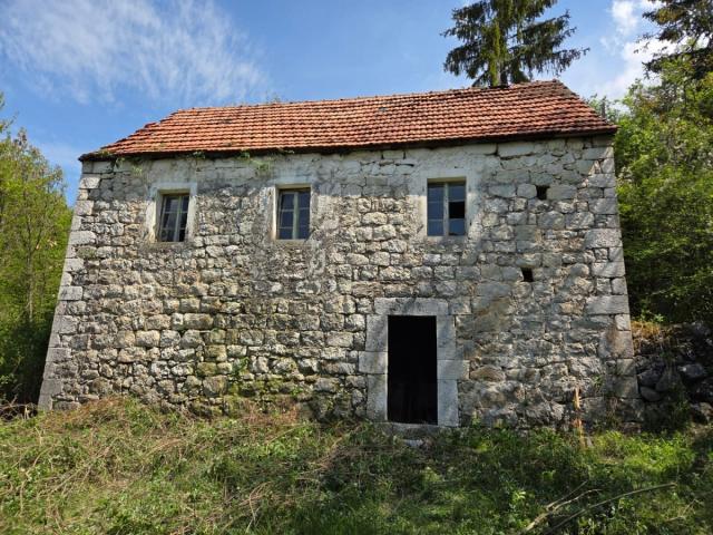 PRODAJA PORODIČNOG IMANJA 16 HEHTARA NIKŠIĆ