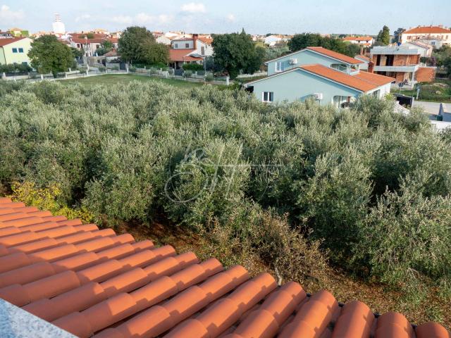 House Galižana, Vodnjan, 523m2