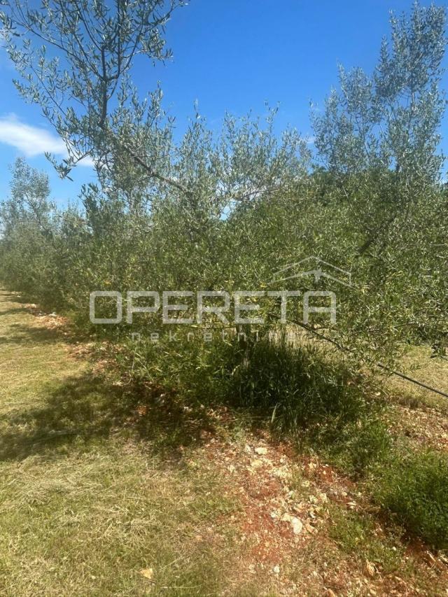 MALI VAREŠKI- KRNICA- ISTRA