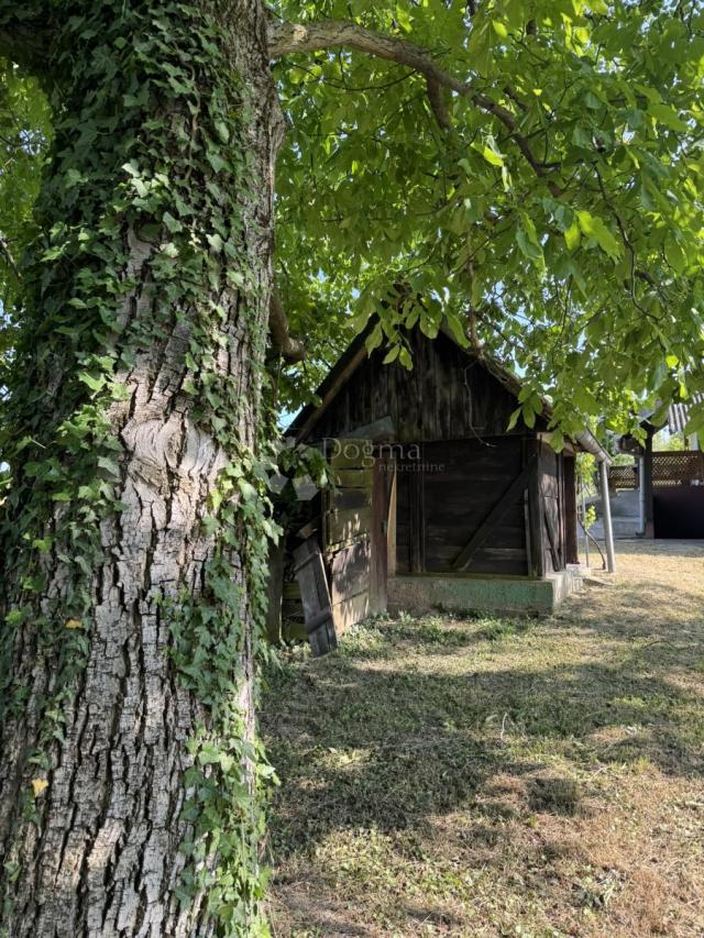 Šarmantna mala klijet za veliki odmor u prirodi