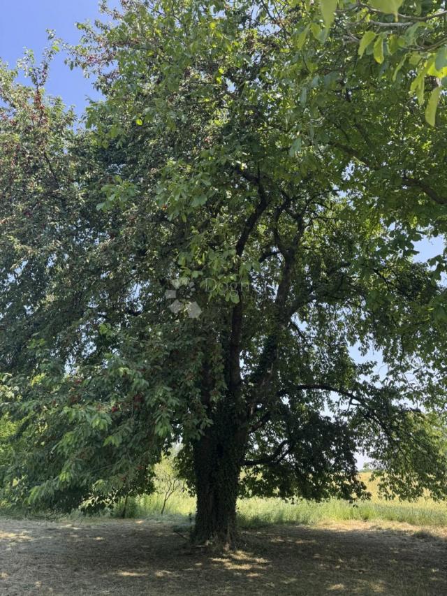 Šarmantna mala klijet za veliki odmor u prirodi