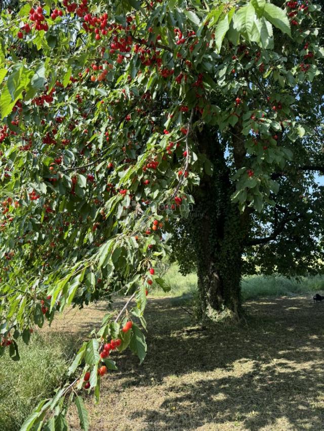 Šarmantna mala klijet za veliki odmor u prirodi