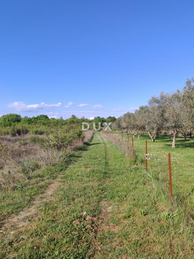 ZADAR, MURVICA - Poljoprivredno zemljište na mirnoj lokaciji 1144 m2