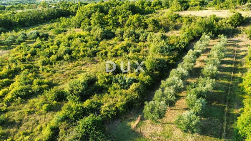 ZADAR, MURVICA - Poljoprivredno zemljište na mirnoj lokaciji 1144 m2
