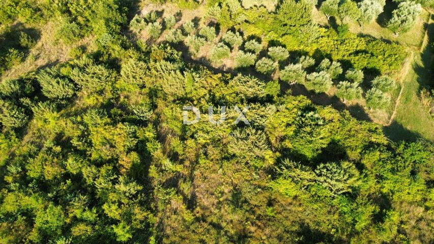 ZADAR, MURVICA - Poljoprivredno zemljište na mirnoj lokaciji 1144 m2