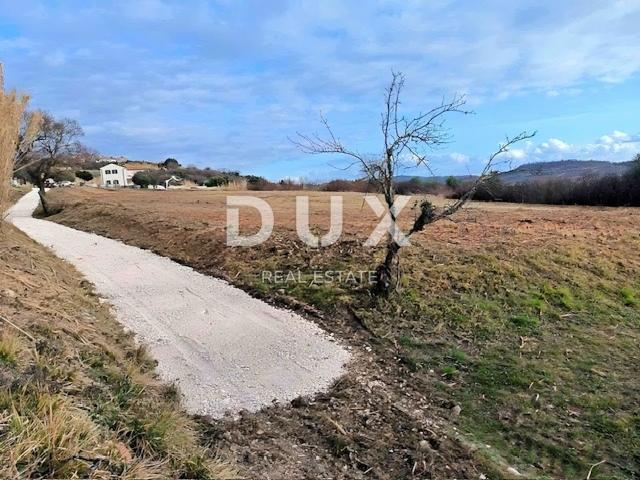 ISTRA, BUJE - Građevinsko zemljište s panoramskim pogledom