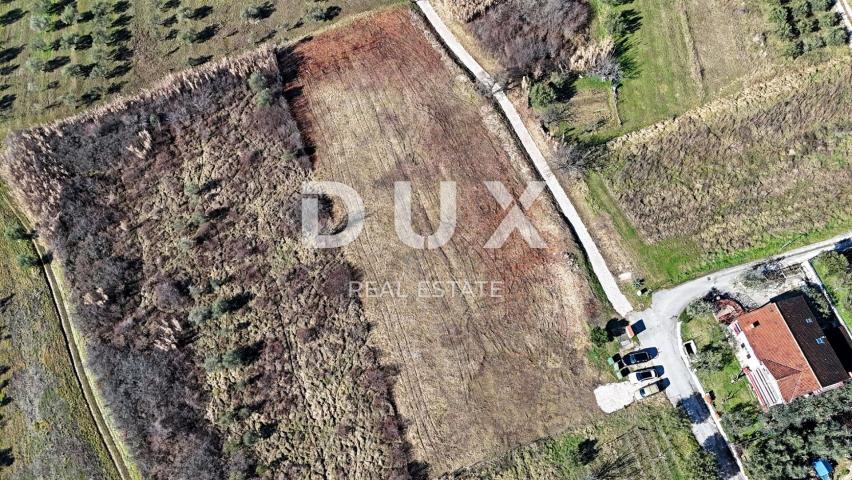 ISTRA, BUJE - Građevinsko zemljište s panoramskim pogledom
