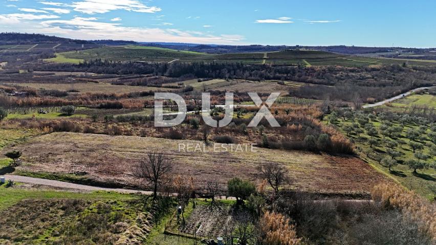 ISTRA, BUJE - Građevinsko zemljište s panoramskim pogledom