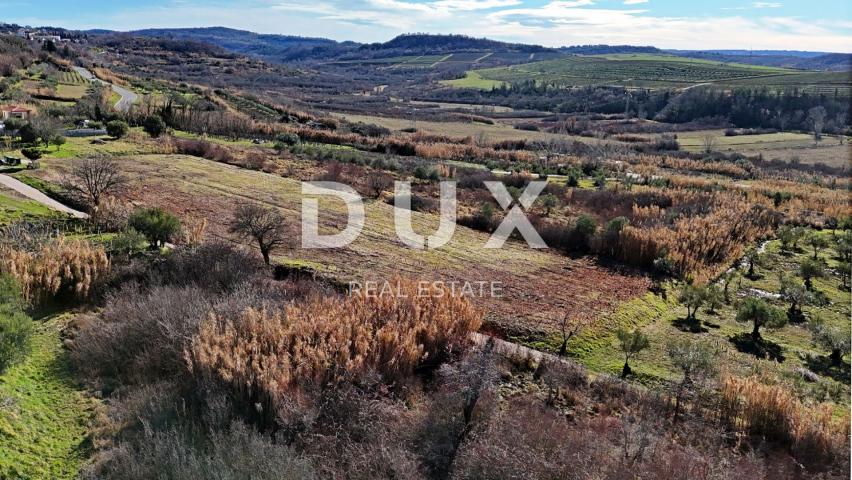 ISTRA, BUJE - Građevinsko zemljište s panoramskim pogledom