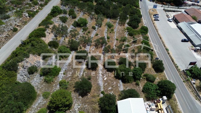 Poljoprivredno zemljište 2.173 m2, Blato, Otok Korčula
