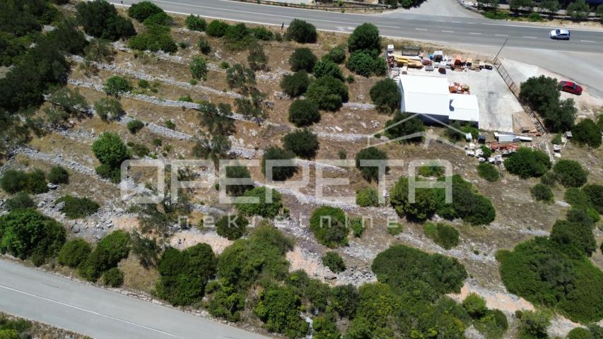 Poljoprivredno zemljište 2.173 m2, Blato, Otok Korčula