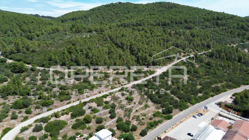 Poljoprivredno zemljište 2.173 m2, Blato, Otok Korčula