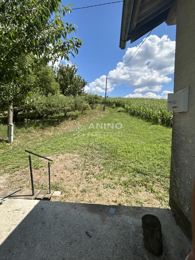 Na prodaju vikendica, šume i pašnjaci u komadu 13.458 m² – Prigorje, blizina Slovenije. 