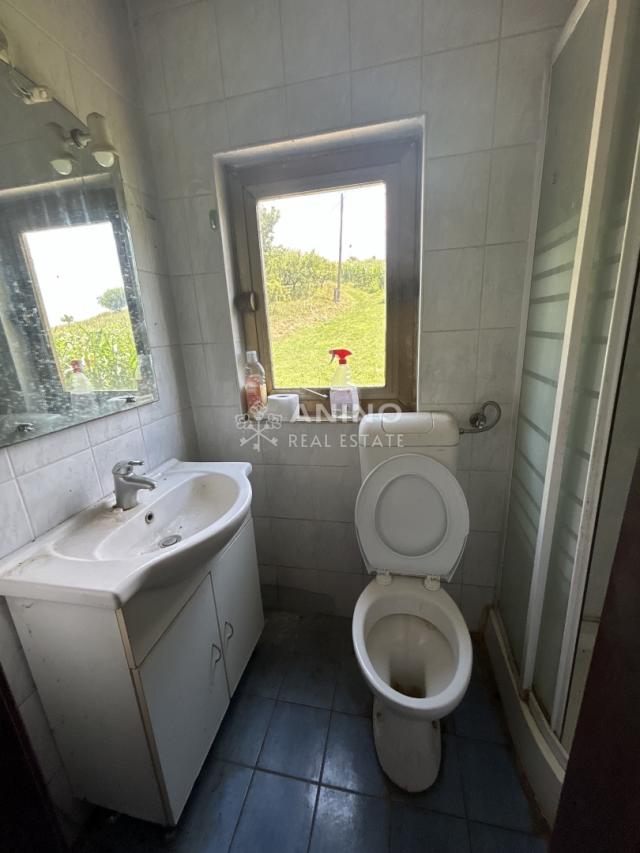 Na prodaju vikendica, šume i pašnjaci u komadu 13.458 m² – Prigorje, blizina Slovenije. 