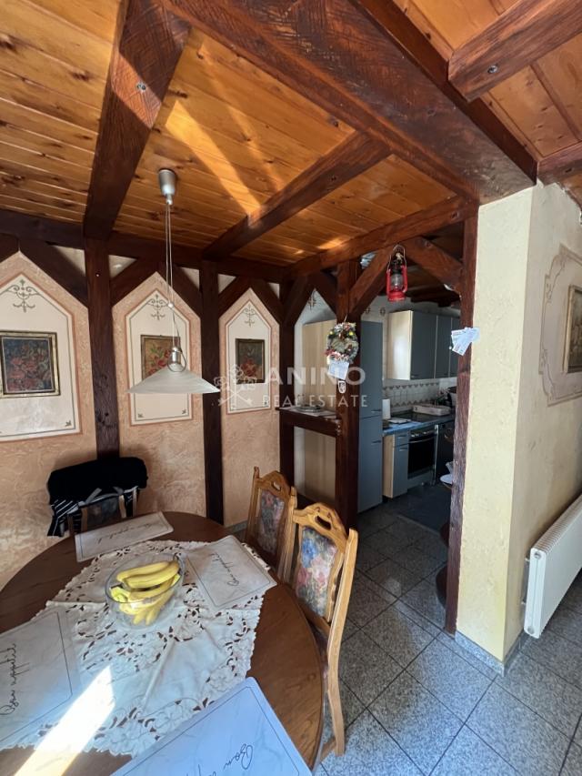Haus Trakošćan, Bednja, 132m2