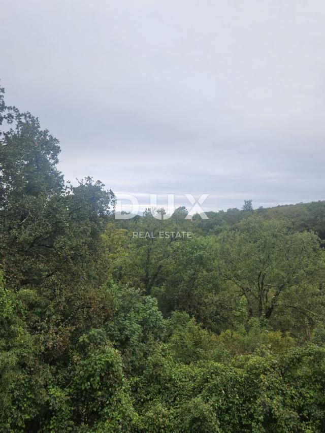 RIJEKA, DRENOVA - Bauland 3300m2 für den Bau von Wohngebäuden - Wohnungen/Familienhäusern