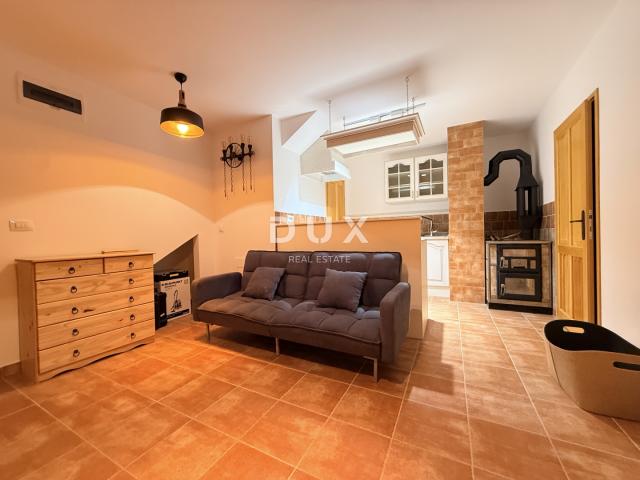 GORSKI KOTAR, MRKOPALJ - Kuća s četiri apartmana