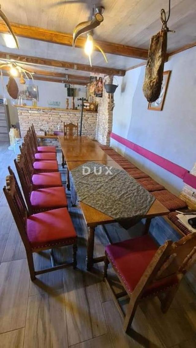 ČAVLE - villa s 3 stana, grijanim bazenom, konobom i garažom - uhodani posao!