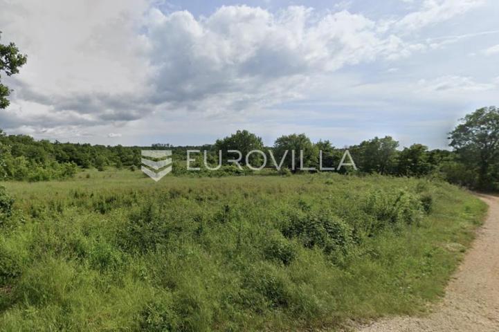 Istra, Baderna, prostrano građevinsko zemljište 1315 m² u mirnom okruženju