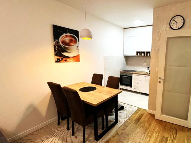 Jednosoban namješten stan, 47m2, Central Point, Podgorica